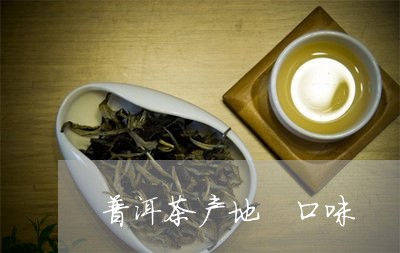 普洱茶产地 口味/2023041085169